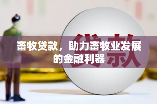 澎湖畜牧贷款，助力畜牧业发展的金融利器