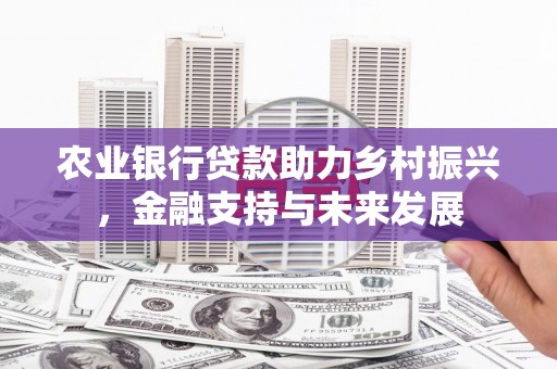 澎湖农业银行贷款助力乡村振兴，金融支持与未来发展