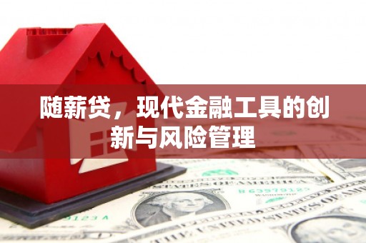 澎湖随薪贷，现代金融工具的创新与风险管理