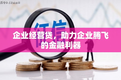 澎湖企业经营贷，助力企业腾飞的金融利器
