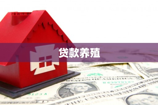 澎湖贷款养殖