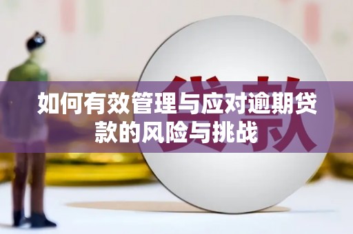 澎湖如何有效管理与应对逾期贷款的风险与挑战
