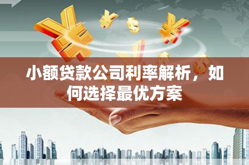 澎湖小额贷款公司利率解析，如何选择最优方案