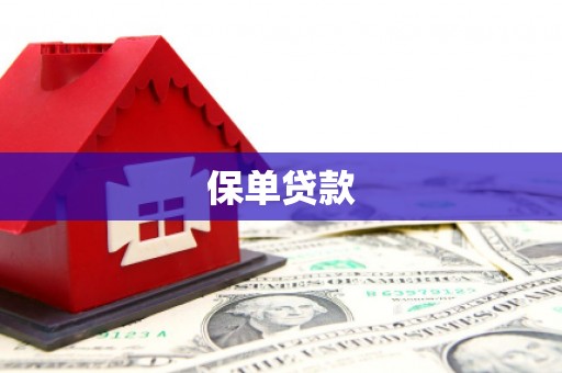 澎湖保单贷款