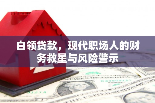 澎湖白领贷款，现代职场人的财务救星与风险警示