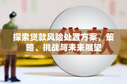 澎湖探索贷款风险处置方案，策略、挑战与未来展望