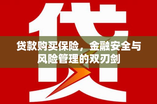 澎湖贷款购买保险，金融安全与风险管理的双刃剑