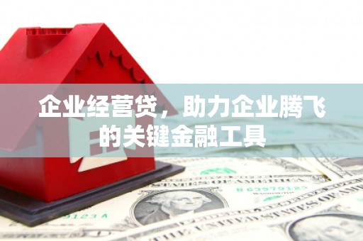 澎湖企业经营贷，助力企业腾飞的关键金融工具