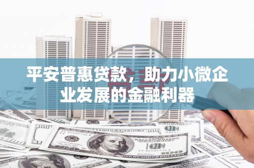 澎湖平安普惠贷款，助力小微企业发展的金融利器