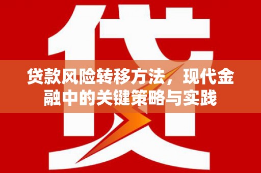 澎湖贷款风险转移方法，现代金融中的关键策略与实践