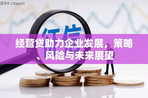 澎湖经营贷助力企业发展，策略、风险与未来展望