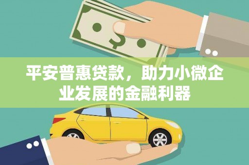 澎湖平安普惠贷款，助力小微企业发展的金融利器