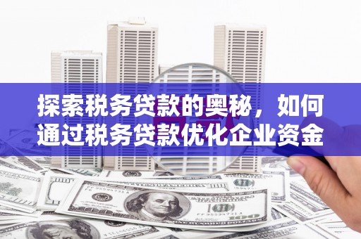 澎湖探索税务贷款的奥秘，如何通过税务贷款优化企业资金流