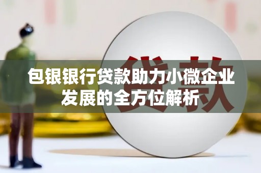 澎湖包银银行贷款助力小微企业发展的全方位解析 澎湖包银银行贷款助力小微企业发展的全方位解析