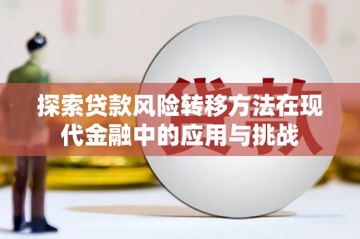 澎湖探索贷款风险转移方法在现代金融中的应用与挑战