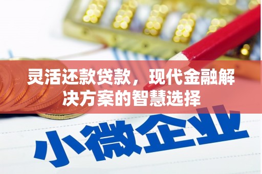 澎湖灵活还款贷款，现代金融解决方案的智慧选择