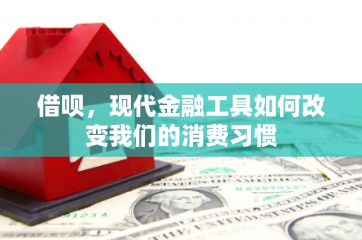 澎湖借呗，现代金融工具如何改变我们的消费习惯