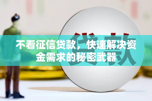 澎湖不看征信贷款，快速解决资金需求的秘密武器