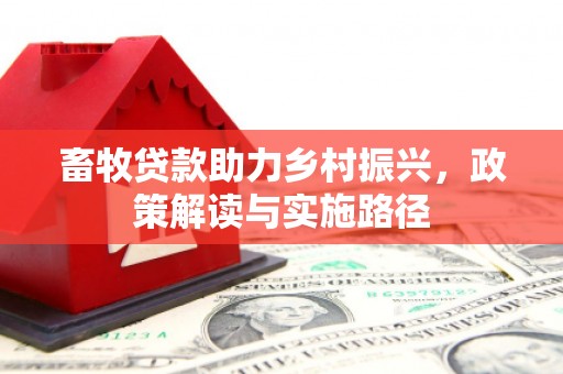 澎湖畜牧贷款助力乡村振兴，政策解读与实施路径
