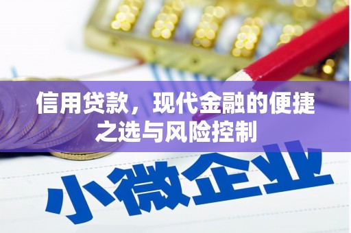 澎湖信用贷款，现代金融的便捷之选与风险控制