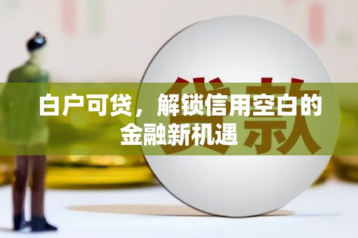 澎湖白户可贷，解锁信用空白的金融新机遇