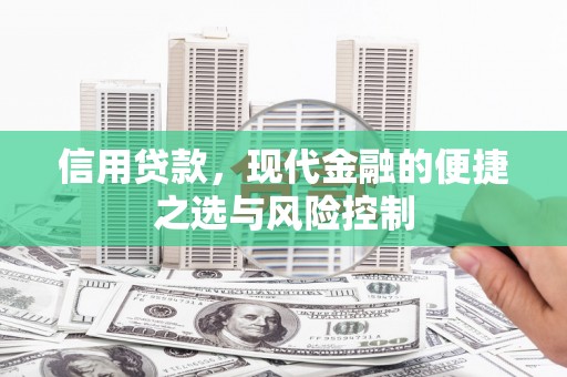 澎湖信用贷款，现代金融的便捷之选与风险控制