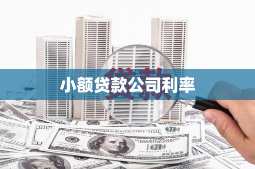 澎湖小额贷款公司利率