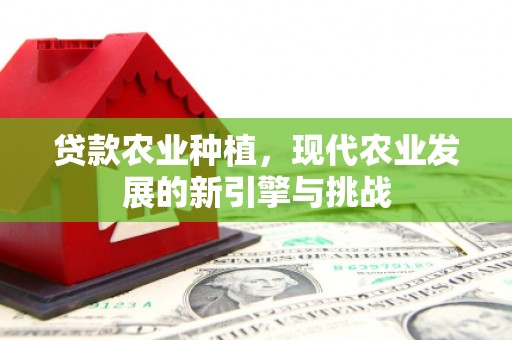 澎湖贷款农业种植，现代农业发展的新引擎与挑战