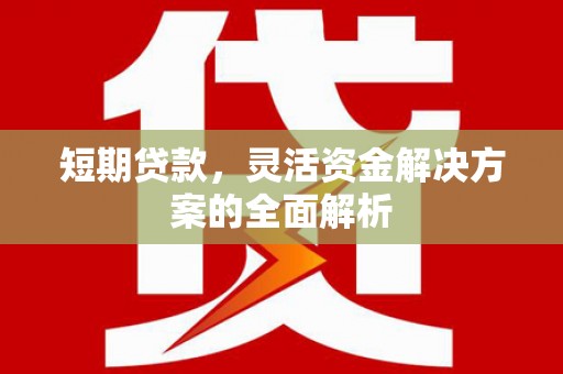 澎湖短期贷款，灵活资金解决方案的全面解析