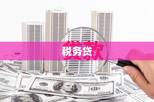 澎湖税务贷