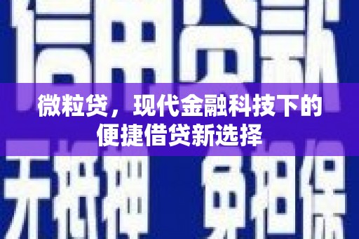 澎湖微粒贷，现代金融科技下的便捷借贷新选择