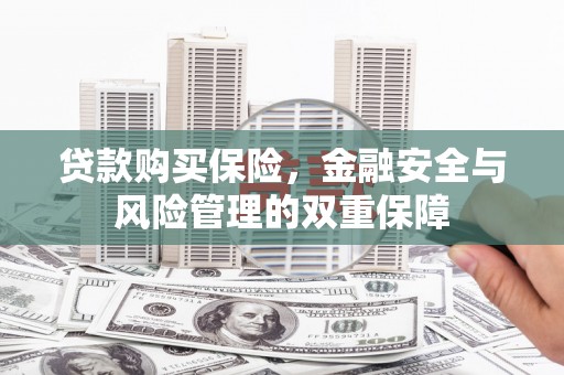澎湖贷款购买保险，金融安全与风险管理的双重保障