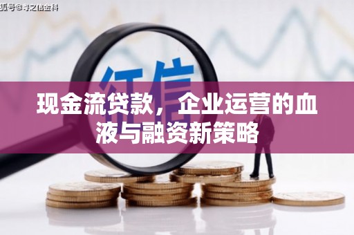澎湖现金流贷款，企业运营的血液与融资新策略