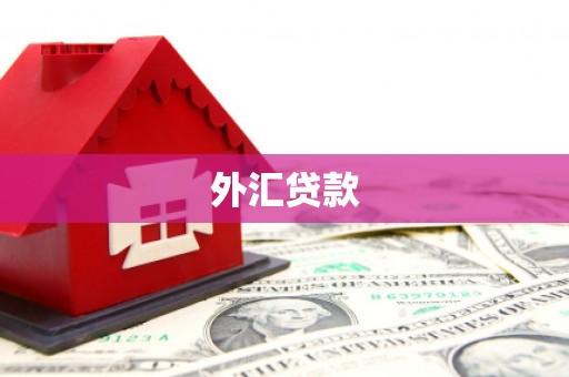 澎湖外汇贷款