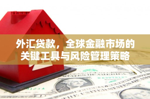 澎湖外汇贷款，全球金融市场的关键工具与风险管理策略