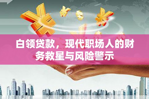 澎湖白领贷款，现代职场人的财务救星与风险警示
