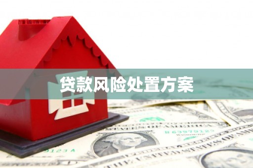 澎湖贷款风险处置方案
