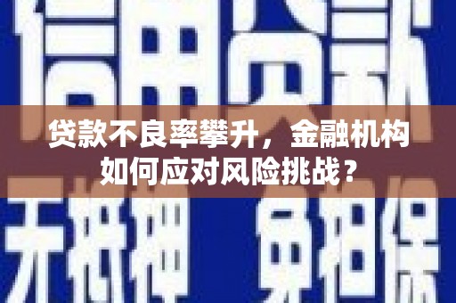 澎湖贷款不良率攀升，金融机构如何应对风险挑战？