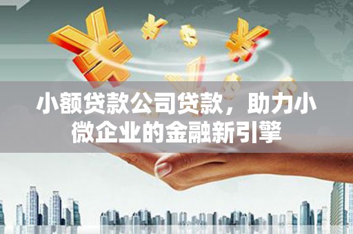澎湖小额贷款公司贷款，助力小微企业的金融新引擎