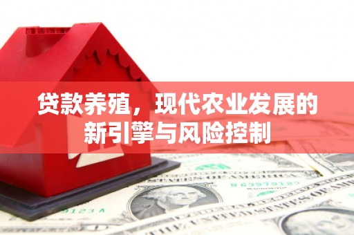 澎湖贷款养殖，现代农业发展的新引擎与风险控制