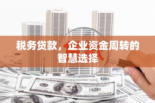 澎湖税务贷款，企业资金周转的智慧选择