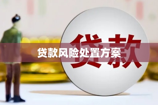 澎湖贷款风险处置方案
