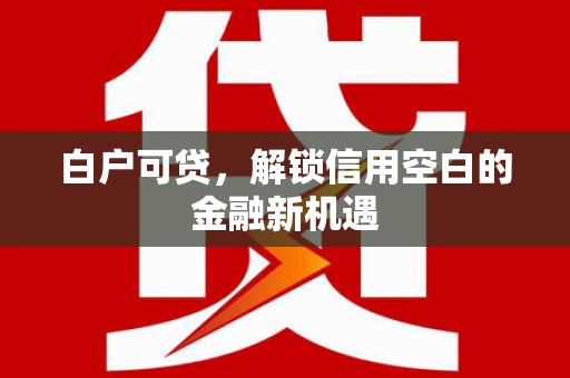 澎湖白户可贷，解锁信用空白的金融新机遇