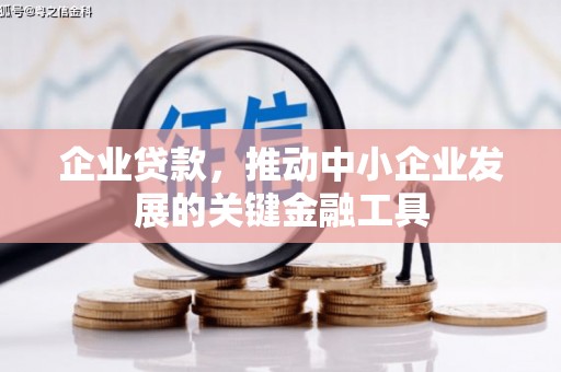 澎湖企业贷款，推动中小企业发展的关键金融工具