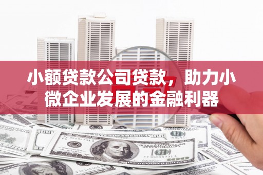 澎湖小额贷款公司贷款，助力小微企业发展的金融利器
