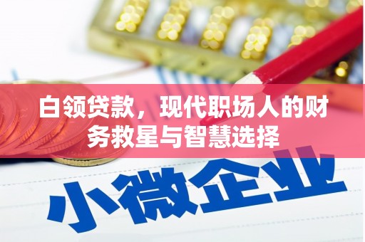 澎湖白领贷款，现代职场人的财务救星与智慧选择