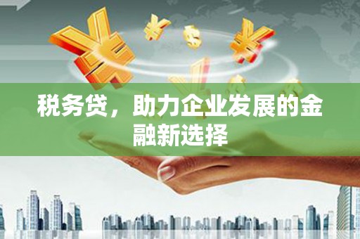 澎湖税务贷，助力企业发展的金融新选择