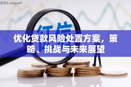 澎湖优化贷款风险处置方案，策略、挑战与未来展望