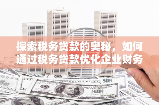 澎湖探索税务贷款的奥秘，如何通过税务贷款优化企业财务