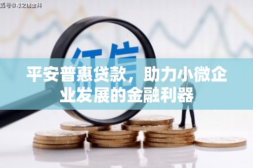 澎湖平安普惠贷款，助力小微企业发展的金融利器